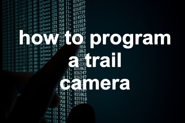 how to program a trail camera